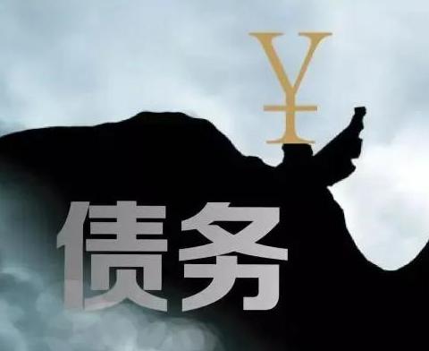 什么是债务优化，新龙债务优化有什么效果？